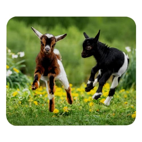 Eslifey Bequemes Mauspad Ziegen spielen auf dem Feld Desktop Mousepad, 21 x 25 cm Mauspad, rutschfeste Gummiunterseite, verbessert Geschwindigkeit und Präzision von Eslifey
