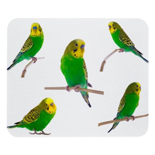 Eslifey Komfortables Mauspad Wellensittiche Melopsittacus Desktop Mousepad, 21 x 25 cm Mauspad, rutschfeste Gummiunterseite, verbessert Geschwindigkeit und Präzision, sbdE010 von Eslifey