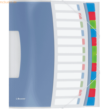 10 x Esselte Ordnungsmappe Vivida A4 12 Fächer mehrfarbig von Esselte