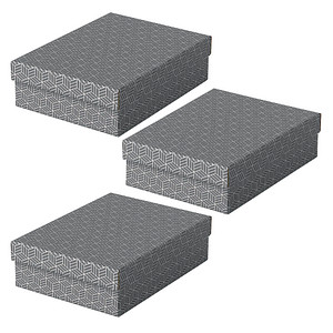 3 Esselte Home Aufbewahrungsboxen 8,0 l grau 26,5 x 36,0 x 10,0 cm von Esselte