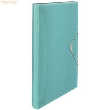 3 x Esselte Projektmappe Colour'Ice A4 PP blau 3 x Esselte Projektmappe Colour'Ice A4 PP blau von Esselte