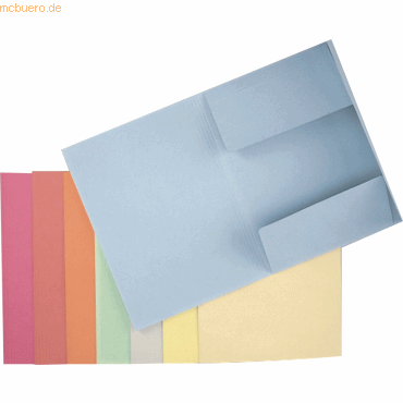 50 x Esselte Jurismappe A4 275g/qm für 250 Blatt chamois 50 x Esselte Jurismappe A4 275g/qm für 250 Blatt chamois von Esselte