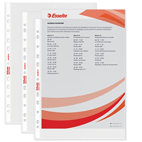 Esselte 395613300 Briefumschläge Universal Copy Safe Standard A4 geprägt, 200 Stück von Esselte