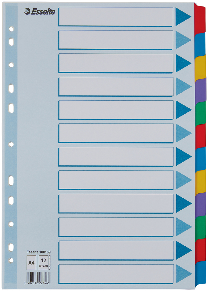 Esselte Karton-Register, blanko, A4, 12-teilig, mehrfarbig von Esselte