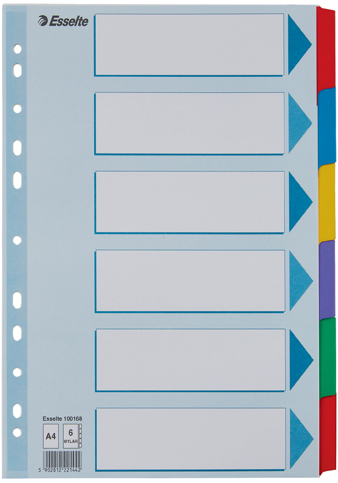 Esselte Karton-Register, blanko, A4, 6-teilig, mehrfarbig von Esselte