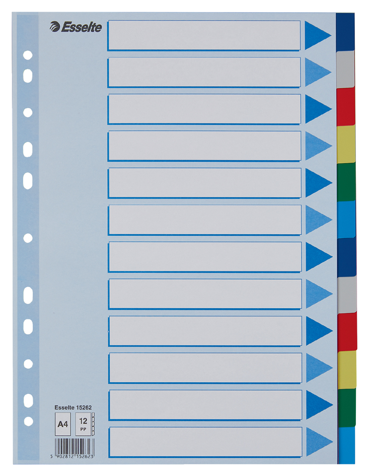 Esselte Kunststoff-Register, blanko, A4, PP, 12-teilig von Esselte