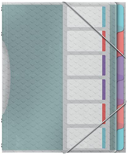 Esselte Leitz A4-Projektordner mit 6 Registern, klaren Kunststofftaschen, zur Schreibtischorganisation, mit Prägemuster, Colour'Breeze Serie, Mehrfarbig, 626255 von Esselte