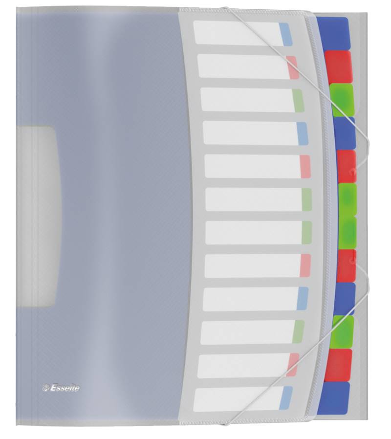 Esselte Ordnungsmappe VIVIDA, A4, PP, 12 Fächer, mehrfarbig von Esselte