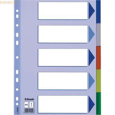 Esselte Register A4 5-teilig blanko farbig von Esselte