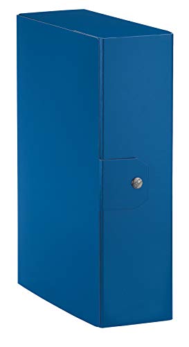 Esselte langfristig Box für die Aufbewahrung von Dokumenten Ordner, A4, 1 Stück, 10 cm Wirbelsäule, Eurobox Dorso 10 cm blau von Esselte