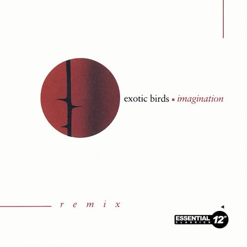 Imagination (Remix) von Essential 12" Classics