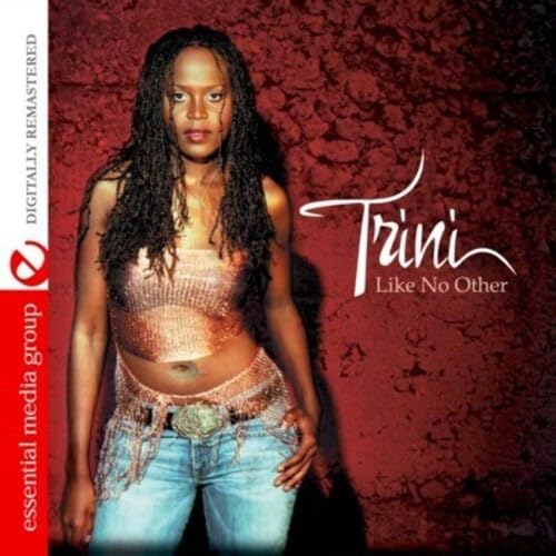Like No Other (Digitally Remastered) von Essential Media Group