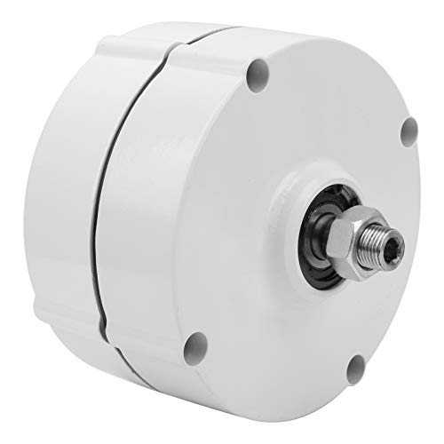 AC-Permanentmagnetgenerator, Vertikaler Windgenerator, 3-Phasen-Industrie-Magnetgenerator, 750 U/min, AVAN-100 W, Elektrischer Generator (mit Gleichrichter 48V) von Eujgoov