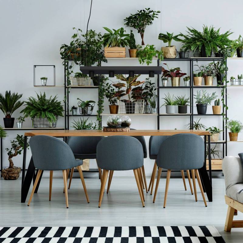Hängeleuchte Plant mit Ablagefläche, schwarz von Nowodvorski Lighting
