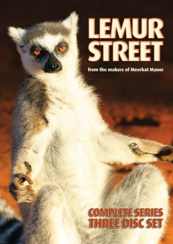 Lemur Street [3 DVDs] von Eureka Entertainment