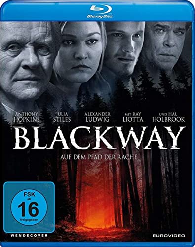 Blackway - Auf dem Pfad der Rache [Blu-ray] von EuroVideo Medien GmbH