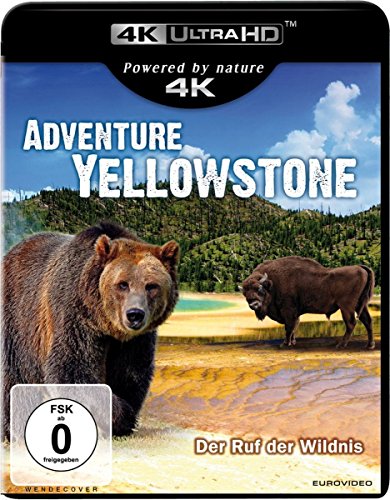 Adventure Yellowstone (4K Ultra-HD) [Blu-ray] von EuroVideo Medien