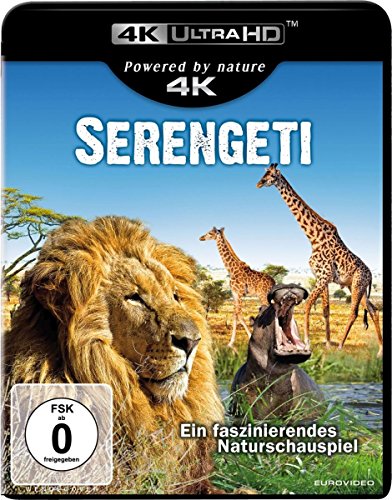 Serengeti (4K Ultra HD) [Blu-ray] von EuroVideo Medien