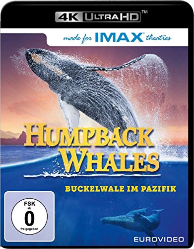 Humpback Whales (4K Ultra-HD) [Blu-ray] von EuroVideo
