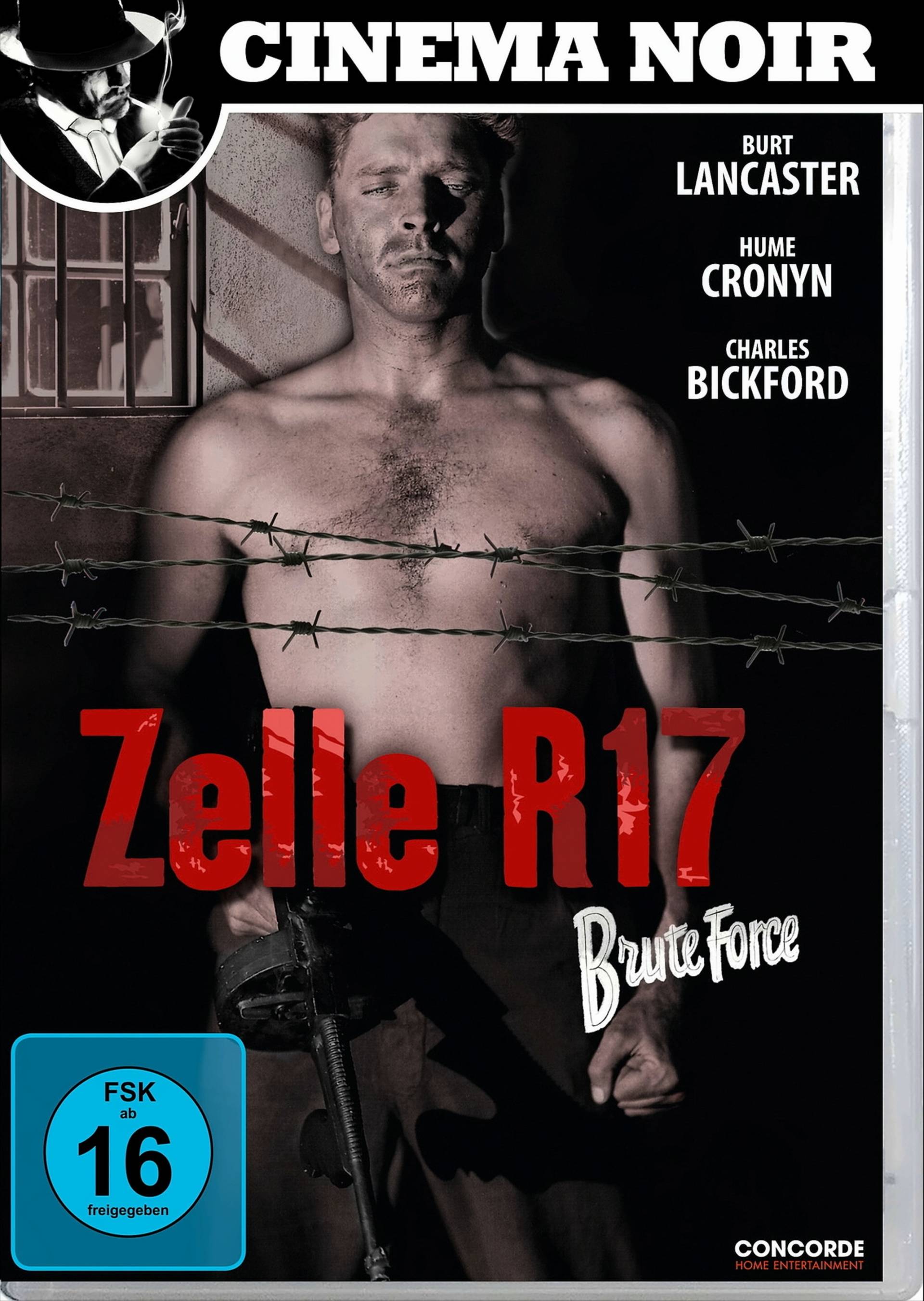Zelle R 17 von EuroVideo