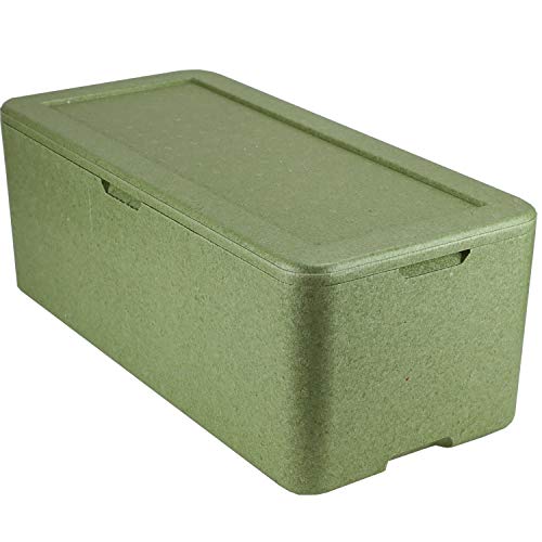 1x W15 Thermobox grün für 15 Menüschalen | Styropor | wiederverwendbar wiederverwendbare MENÜBOX-Transportbehälter für Catering und Lieferdienste von Europack24