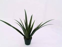 Europalms Aloe-Vera-Pflanze 24 Blätter 79 cm, Kunststoff von Europalms