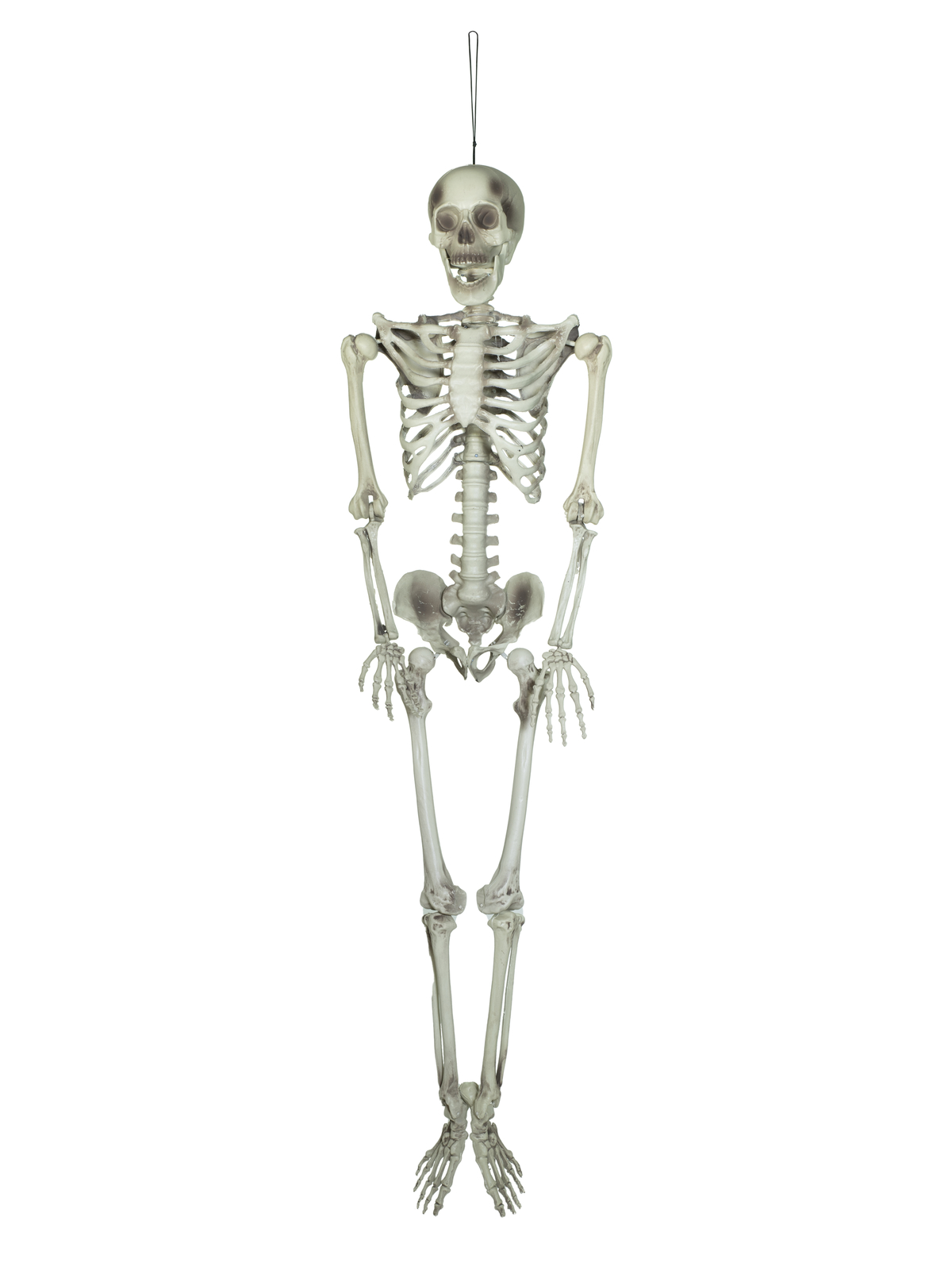 Europalms Halloween Skelett, 150 cm von Europalms