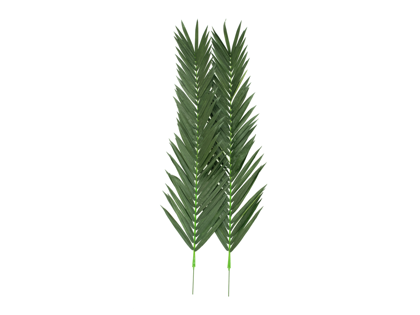 Europalms Kokos-Königspalmwedel, künstlich, 210cm Europalms Kokos-Königspalmwedel, künstlich, 210cm von Europalms