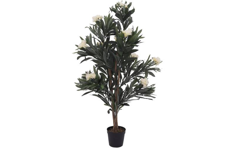 Europalms Oleanderbaum, weiß, 120 cm, Kunststoff von Europalms