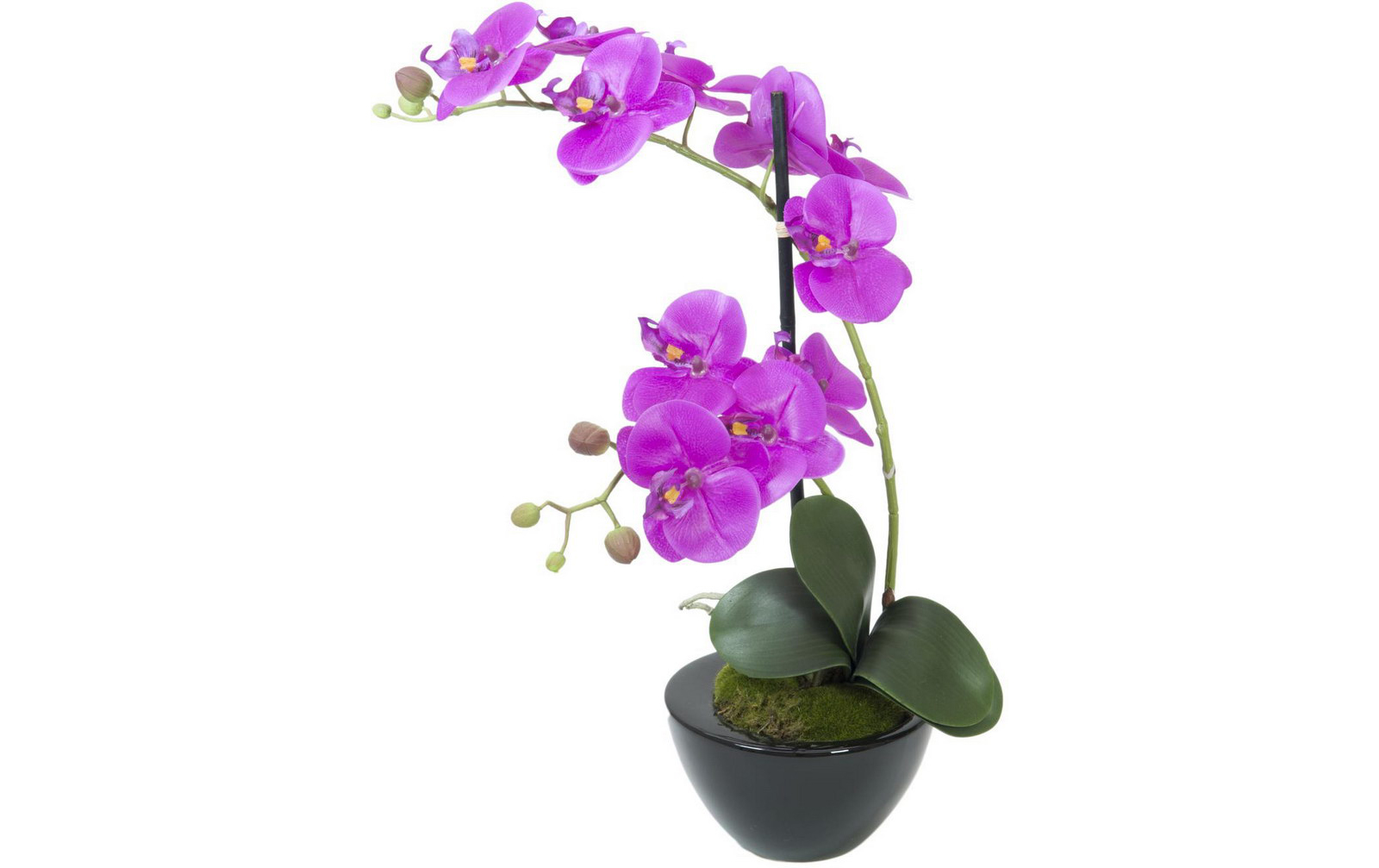 Europalms Orchideen-Arrangement 4, Kunststoffpflanze von Europalms