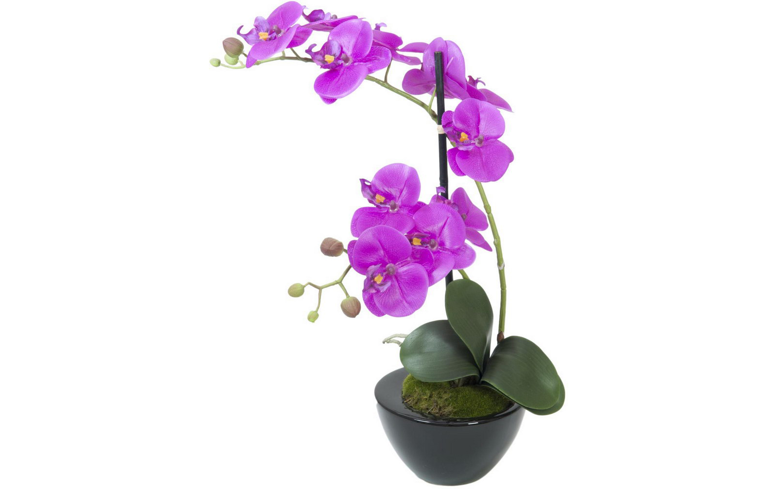Europalms Orchideen-Arrangement 4, Kunststoffpflanze Europalms Orchideen-Arrangement 4, Kunststoffpflanze von Europalms