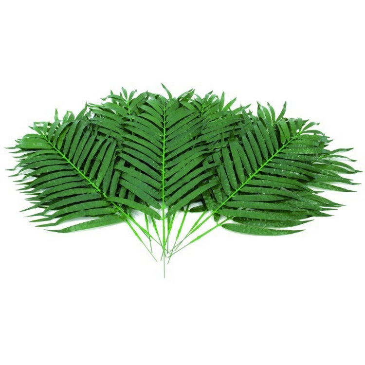 Europalms Palmenblätter, 80 cm, 12 Stück von Europalms