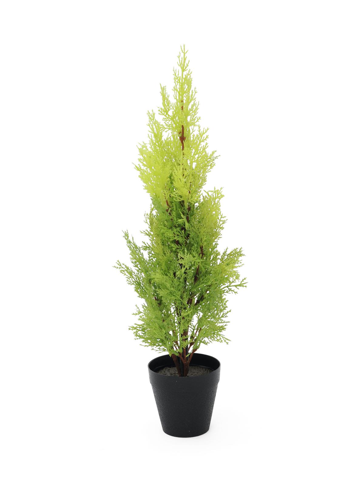 Europalms Zypresse, Leyland, 60cm, Kunststoffpflanze von Europalms