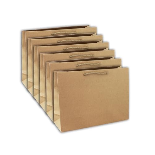 Clairefontaine 28800-6Cpack - Packung 6 Geschenktasche - Tüte Kraft, Format Shopping (37,3x11,8x27,5 cm), 210g, Kraftbraun, geeignet für voluminöse Geschenke, 1 Pack von Eurowrap
