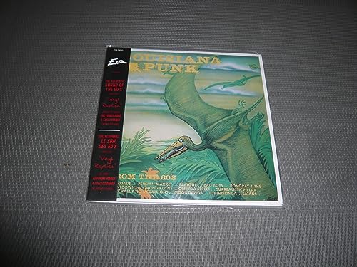 Louisiana Punk from the Sixties (Vinyl Replica) von Eva (Mp Media)