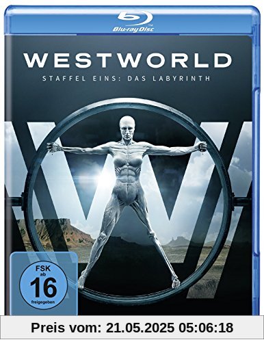 Westworld - Die komplette 1. Staffel [Blu-ray] von Evan Rachel Wood