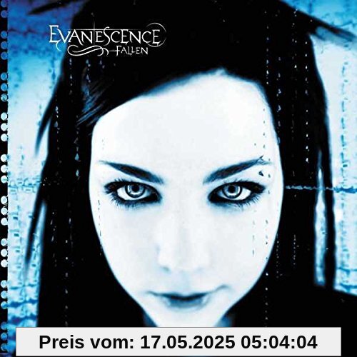 Fallen [Vinyl LP] von Evanescence
