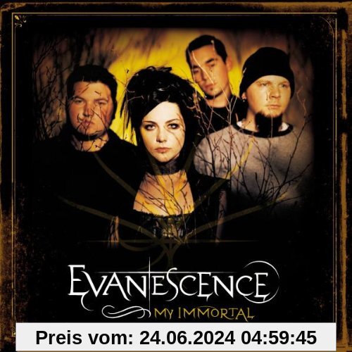 My Immortal von Evanescence