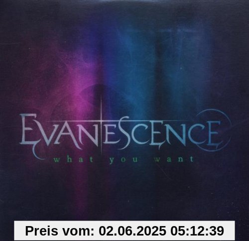 What You Want What You Want von Evanescence