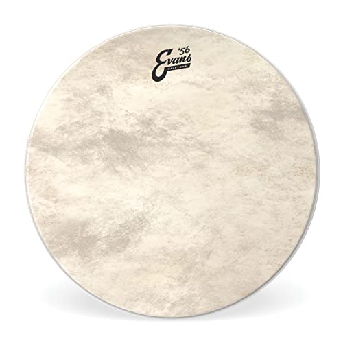 Evans BD18CT Bassdrum Fell von Evans