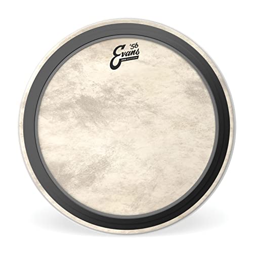 Evans BD18EMADCT Bassdrum Fell von Evans