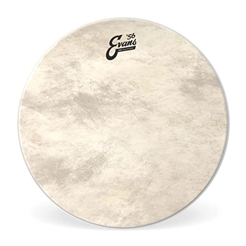 Evans BD22GB4CT Bassdrum Fell von Evans