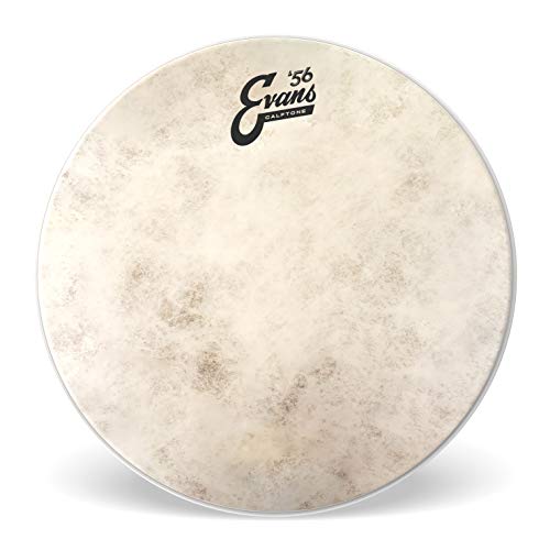 Evans TT08C7 Tom Fell Drumhead von Evans