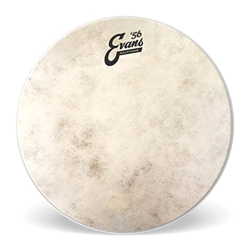 Evans TT12C7 Tom Fell Drumhead von Evans