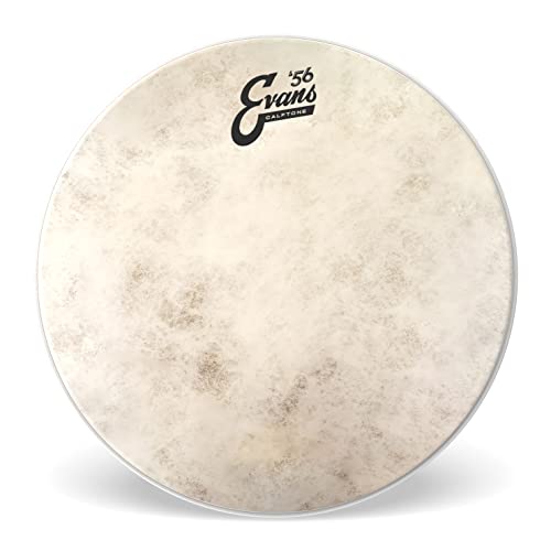 Evans TT13C7 Tom Fell Drumhead von Evans