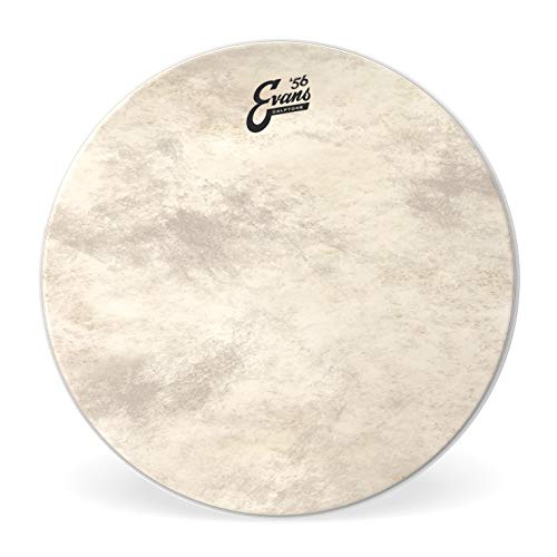 Evans TT16CT Tom Fell Drumhead Evans TT16CT Tom Fell Drumhead von Evans