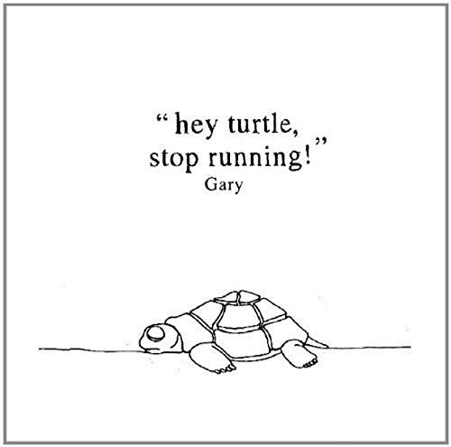 Hey Turtle, Stop Running! [Vinyl LP] von Everland