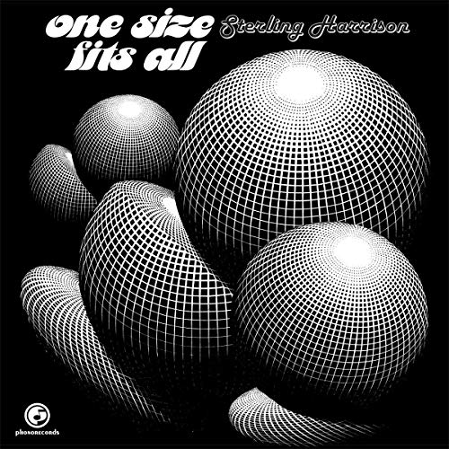 One Size Fits All [Vinyl LP] von Everland