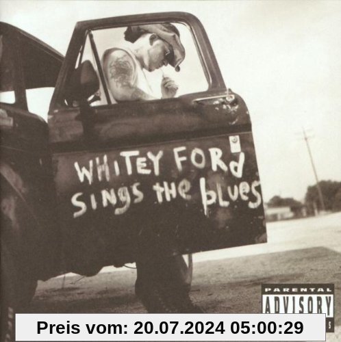 Whitey Ford Sings the Blues von Everlast