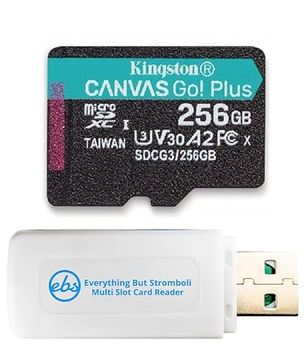 Kingston MicroSD 256 GB Canvas Go Plus-Speicherkarte für GoPro Hero12 Black, Hero 11, Hero 11 Mini, Hero 10 Black Bone (SDCG3 / 256 GB) Bundle mit 1 Everything But Stromboli MicroSD-Kartenleser von Everything But Stromboli